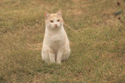 Прикрепленное изображение: 2.jpg